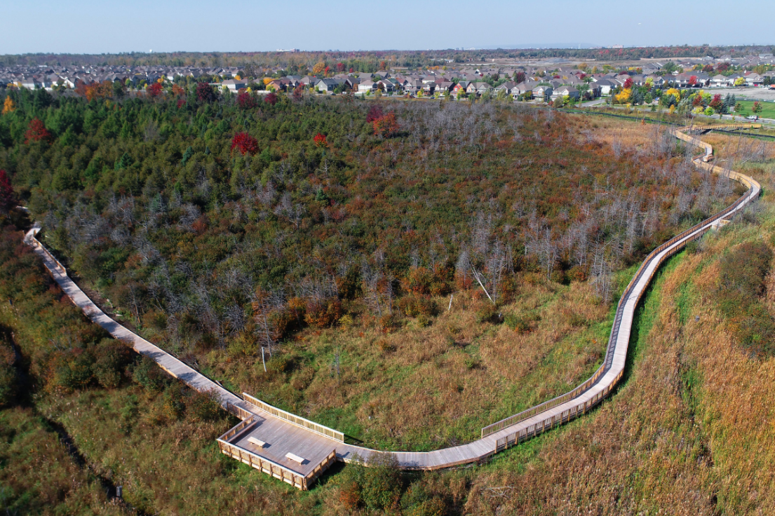 Findlay Creek
